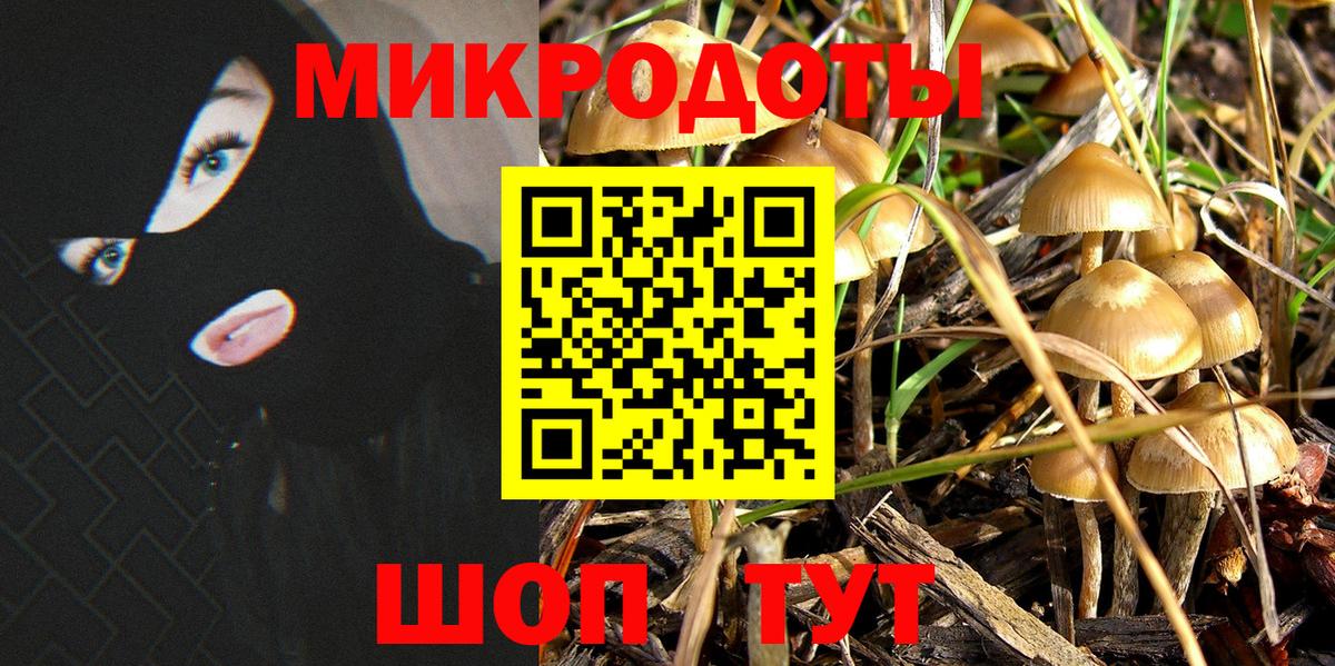 Псилоцибиновые грибы ЛСД  Вход с VPN  Псилоцибиновые грибы GOLDEN TEACHER  Среднеуральск 